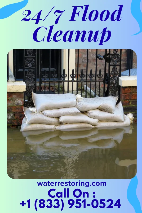24/7 Flood Cleanup in Fordoche, LA