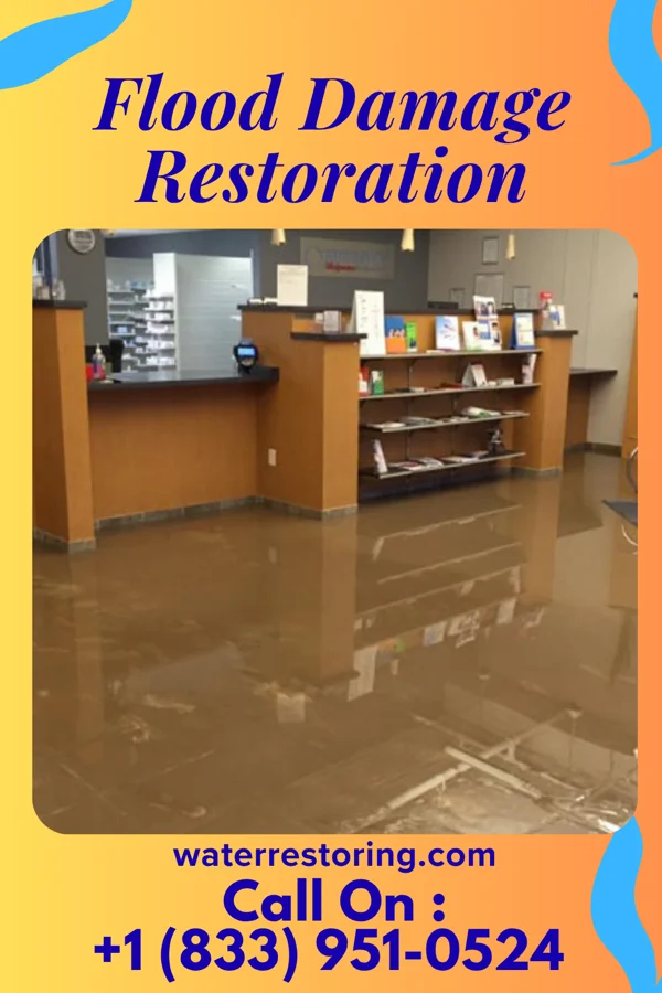 Flood Damage Restoration in Fordoche, LA